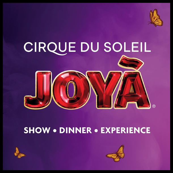 Cirque du Soleil JOYA