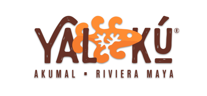 Yal-Ku Akumal Riviera Maya